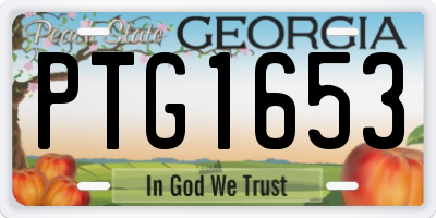 GA license plate PTG1653