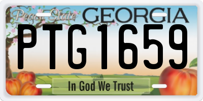 GA license plate PTG1659