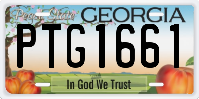 GA license plate PTG1661