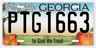 GA license plate PTG1663