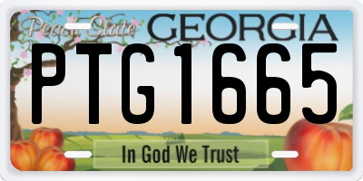 GA license plate PTG1665