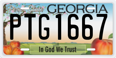 GA license plate PTG1667