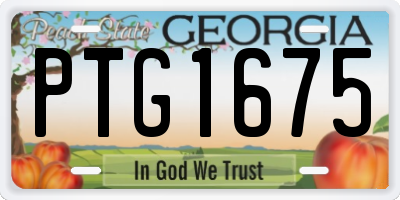 GA license plate PTG1675