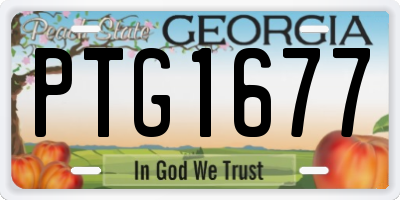 GA license plate PTG1677