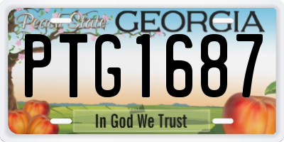 GA license plate PTG1687