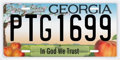 GA license plate PTG1699