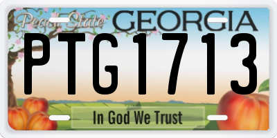 GA license plate PTG1713