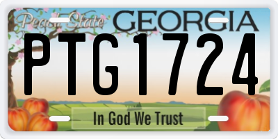 GA license plate PTG1724