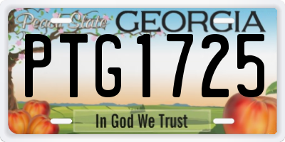 GA license plate PTG1725