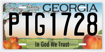 GA license plate PTG1728