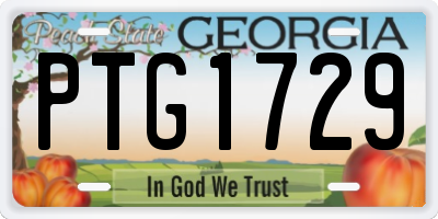 GA license plate PTG1729