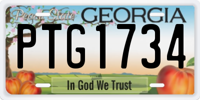 GA license plate PTG1734