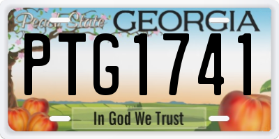 GA license plate PTG1741