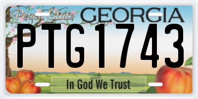 GA license plate PTG1743
