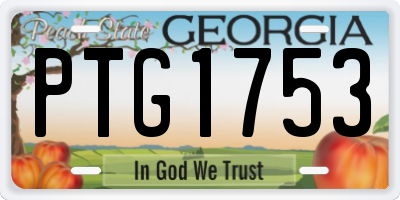 GA license plate PTG1753