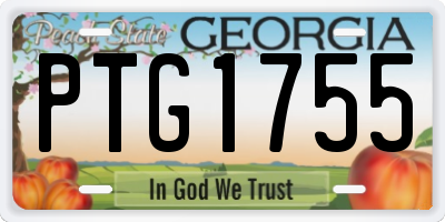 GA license plate PTG1755
