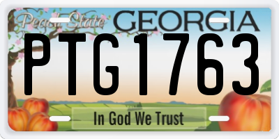 GA license plate PTG1763