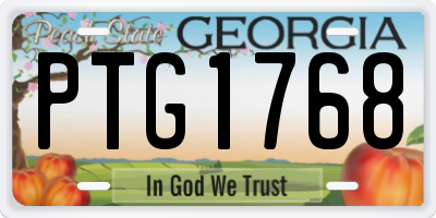 GA license plate PTG1768