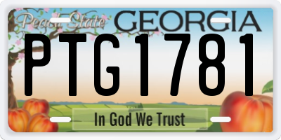 GA license plate PTG1781