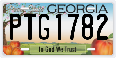 GA license plate PTG1782