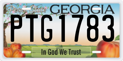 GA license plate PTG1783