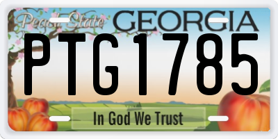 GA license plate PTG1785