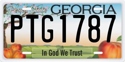 GA license plate PTG1787