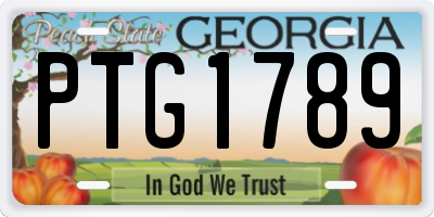 GA license plate PTG1789