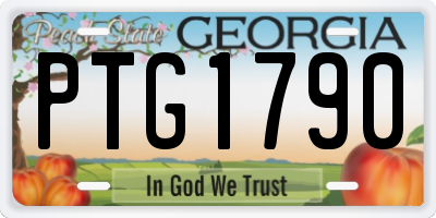 GA license plate PTG1790