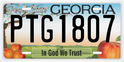 GA license plate PTG1807
