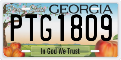 GA license plate PTG1809