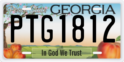 GA license plate PTG1812