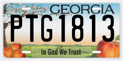 GA license plate PTG1813