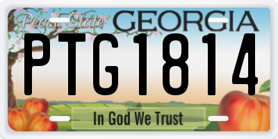 GA license plate PTG1814