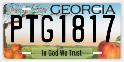 GA license plate PTG1817