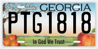 GA license plate PTG1818