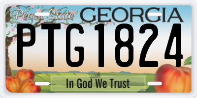 GA license plate PTG1824