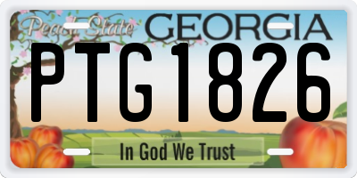 GA license plate PTG1826