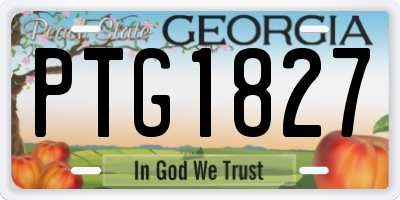GA license plate PTG1827