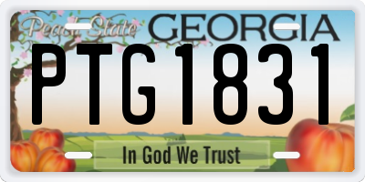 GA license plate PTG1831