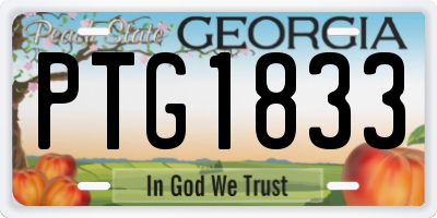 GA license plate PTG1833