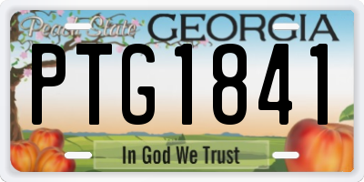 GA license plate PTG1841