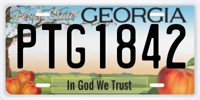 GA license plate PTG1842