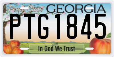 GA license plate PTG1845