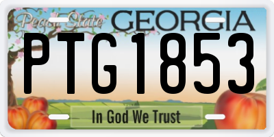 GA license plate PTG1853