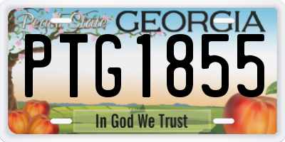 GA license plate PTG1855
