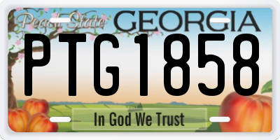 GA license plate PTG1858