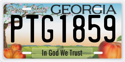 GA license plate PTG1859