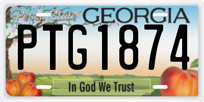 GA license plate PTG1874