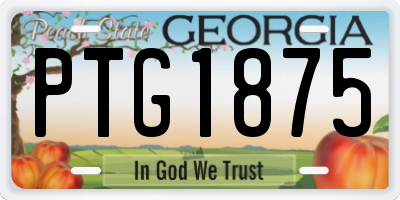 GA license plate PTG1875